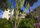 Hotel Hermitage & Park Terme foto 13