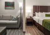 Comfort Inn & Suites foto 20