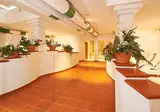 Hotel Wagrainerhof foto 12