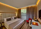 Aemilia Hotel foto 1