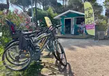 Taxo Les Pins foto 9