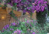 Relais Corte Palmieri foto 13