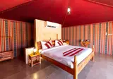 Thousand Nights Camp foto 2