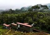 Rainforest Eco Lodge foto 17