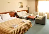 Hotel Lebed foto 14