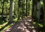 Buitenplaats de Bergse Bossen foto 29