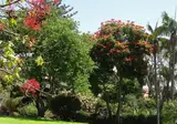 Estalagem Quinta da Casa Branca foto 13