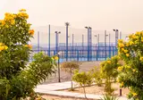 Malikia Resort Abu Dabbab foto 19
