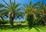 Hotel & Bungalows Caravia Beach foto 12