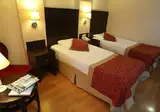 Viking Garden Hotel & Spa foto 17