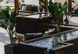 Ohasis Boutique Suites foto 28