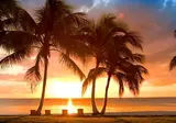 Tortuga Bay Puntacana foto 5