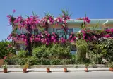 Dedalos Beach Hotel foto 17