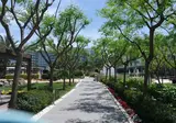 Gran Palas Experience Spa & Beach Resort foto 6