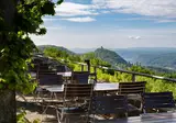 Steigenberger Icon Grandhotel & Spa Petersberg foto 22
