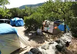 Les Lavandes foto 6