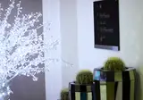 Stelle Hotel The Businest foto 8