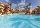 O7 Aloe Corralejo foto 25