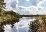 Park De Zeegser Duinen foto 4
