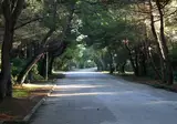 Bella Italia EFA Village Sport & Family foto 9