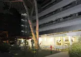 Hotel Rex foto 3