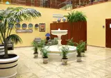 Hotel Senator Granada foto 13