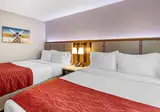 Comfort Inn JFK Airport foto 6