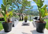 Quinta da Palmeira Country House Retreat & Spa foto 27