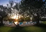 Masseria degli Ulivi foto 21