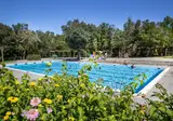 Camping hu Montescudaio Village foto 10