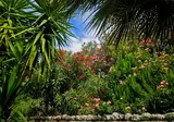 Appartementen Kefalonia View by Alex foto 19