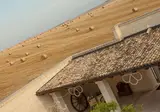 Tenuta Danesi foto 19