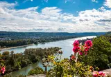 Over de Rijn naar Mannheim 'Heidelberg aan de Neckar' foto 3