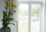 Boetiekhotel Villa Wanrooy foto 6