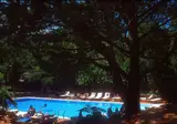 Alberi del Paradiso foto 5
