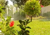 Collina foto 30