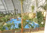 OHANA Lodges foto 11