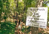 Grifid Foresta foto 6