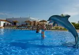 Creixell Beach Resort foto 15