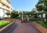 Le Tartarughe Mare foto 4
