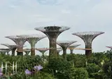 Reis naar Vietnam met stopover Singapore foto 1