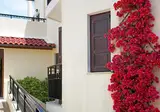 Kalidon Beach Hotel foto 8