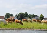 Erfgoedlogies d'Ouffenhoff foto 15