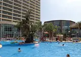 Flamingo Oasis foto 20