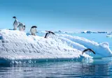 Expeditiecruise Antarctica per m/v Hondius foto 10