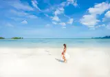 Dara Samui Beach Resort foto 6