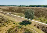 De Bonte Wever foto 55