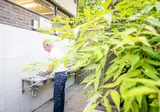 Urban Gardens Gent foto 14