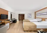 Aydinbey Famous Resort foto 24