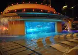 Hotel Golden Nugget Las Vegas foto 15
